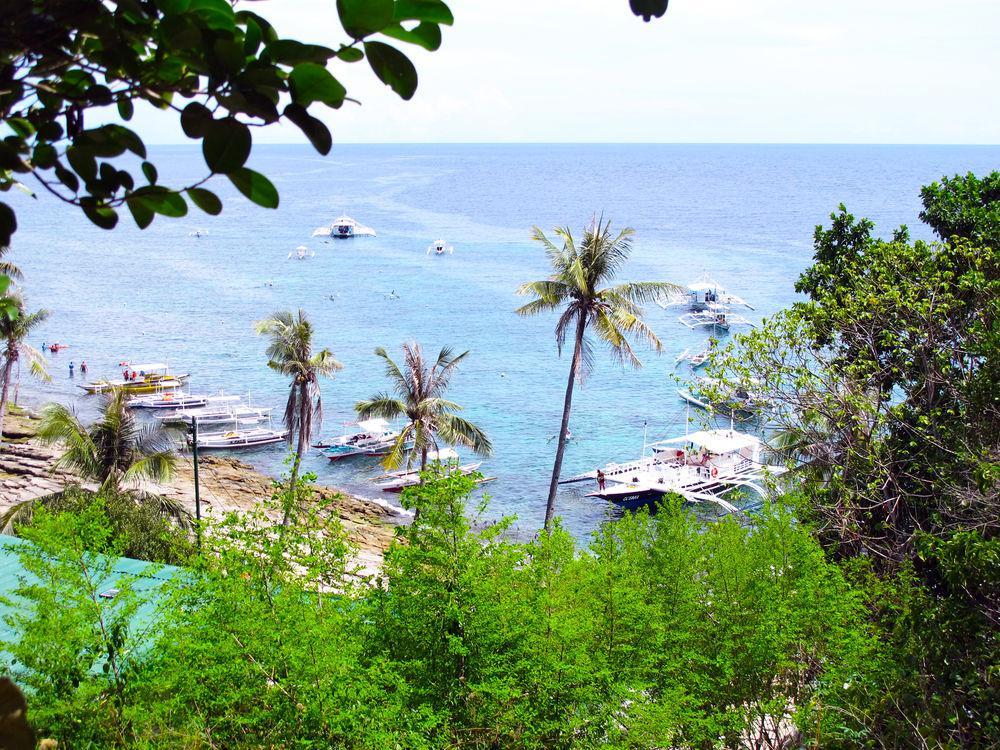 Zamboanguita  منتجع أكوا للغوص المظهر الخارجي الصورة