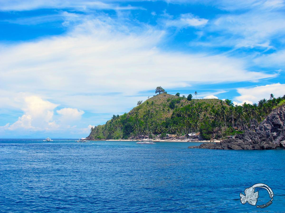 Zamboanguita  منتجع أكوا للغوص المظهر الخارجي الصورة